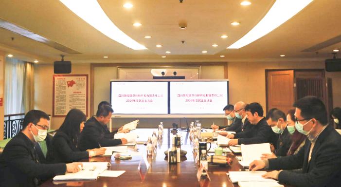 集团领导督导亿万先生mr官方网站创新公司2020年领导干部民主生活会