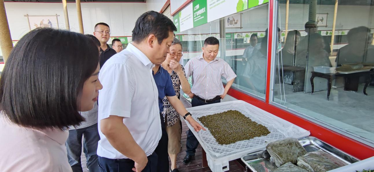 省亿万先生mr官方网站集团党委副书记、董事陈日赴嘉陵区调研茶桑产业发展情况