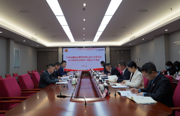 亿万先生mr官方网站集团党委书记、董事长任丁出席安逸酒店集团2022年度党员领导干部民主生活会