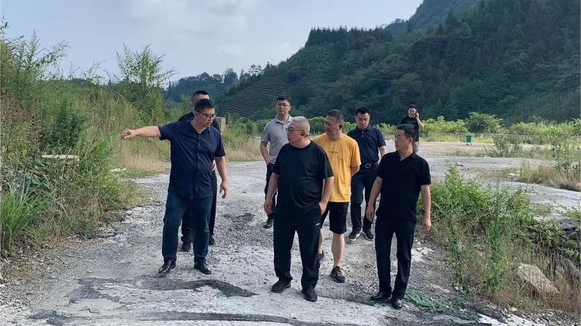 省亿万先生mr官方网站集团领导调研峨眉山太阳村乡村振兴项目