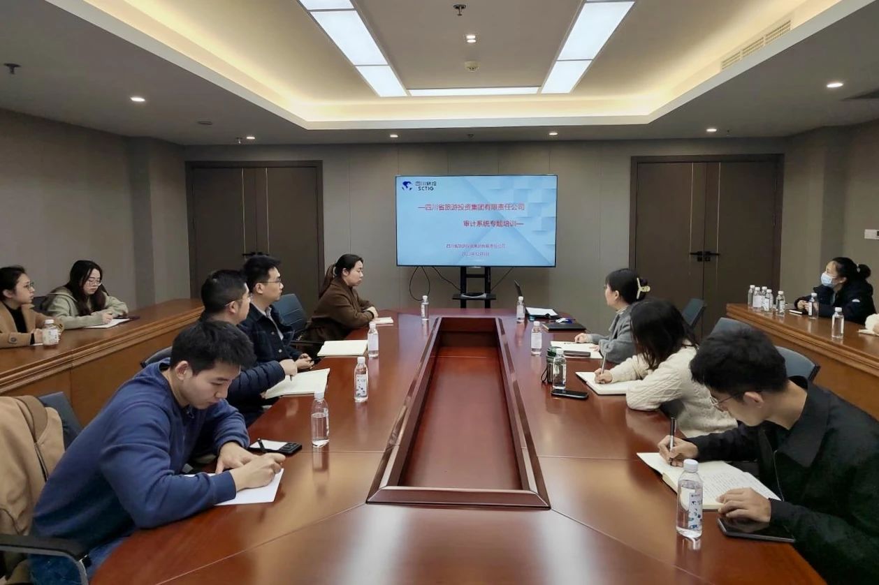 省亿万先生mr官方网站集团举办2023年度审计系统专题培训