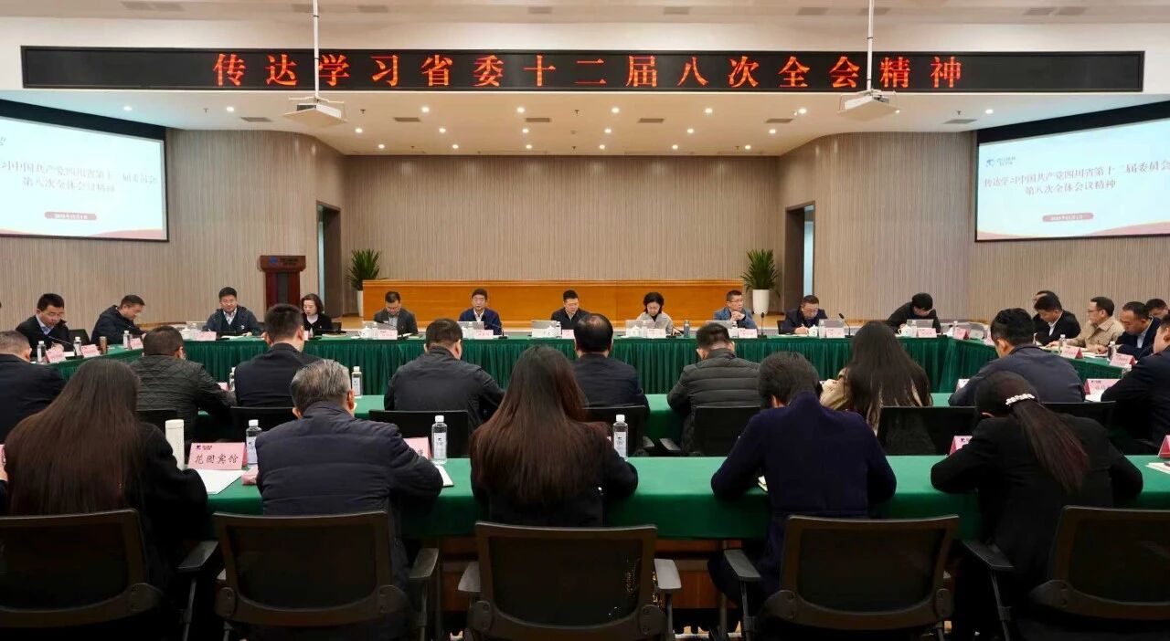 省亿万先生mr官方网站集团党委传达学习贯彻省委十二届八次全会精神